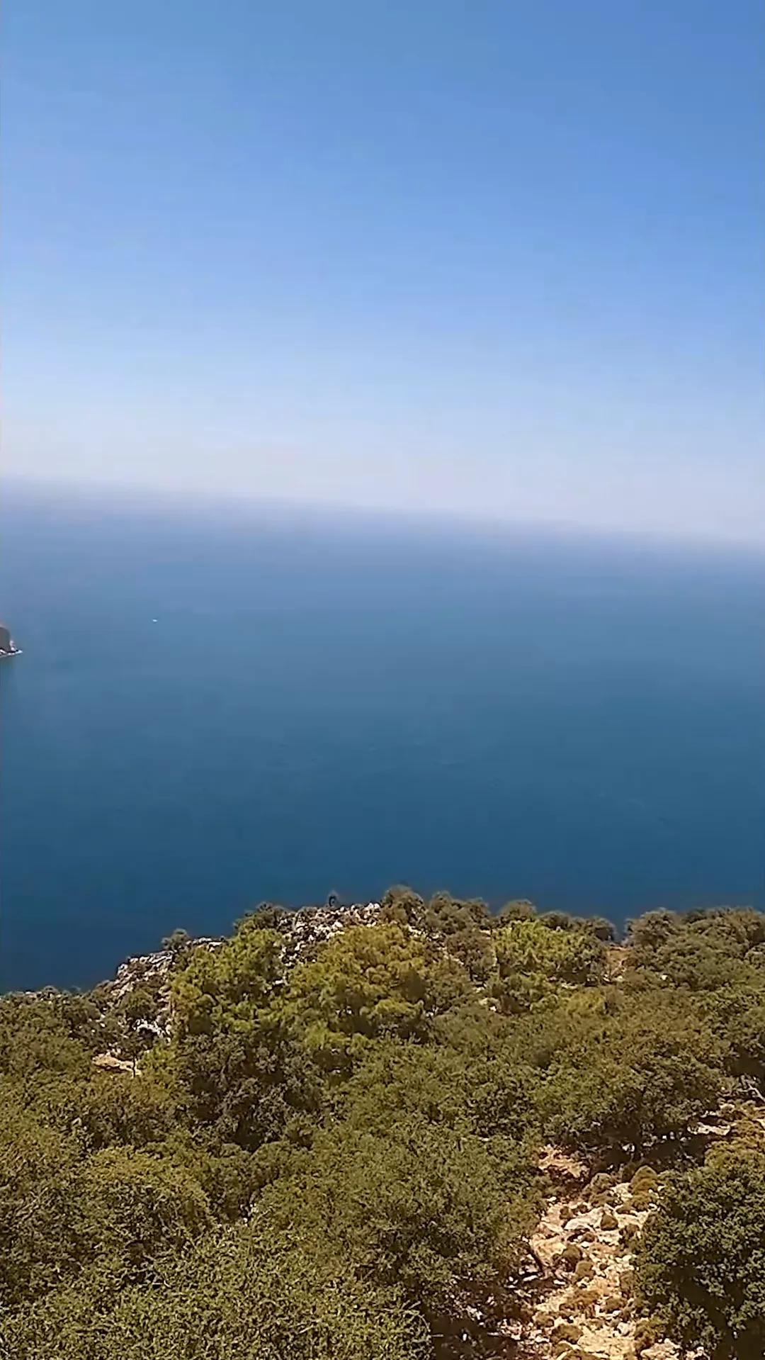 Yedi Burun kıyısı ve çam ormanı